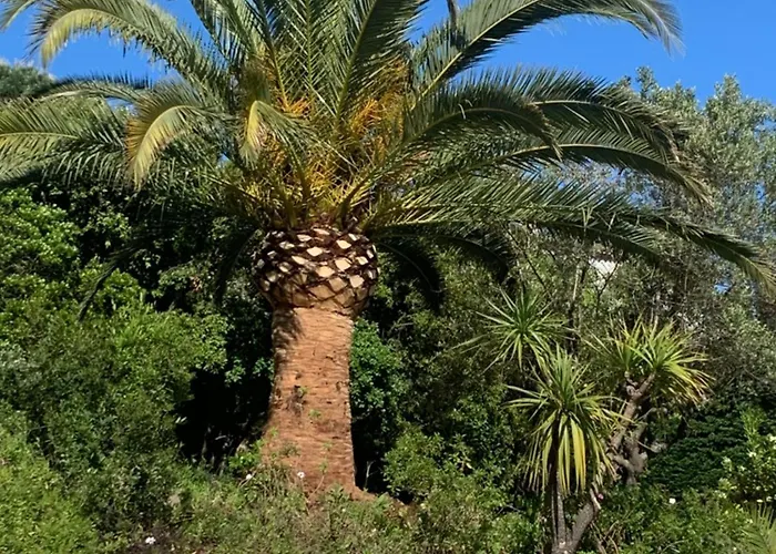 Panzió Paradis Provencal 4*