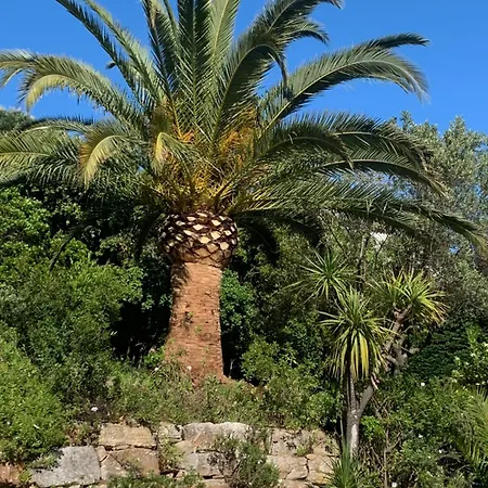 Alojamento de Acomodação e Pequeno-almoço Paradis Provençal 4*